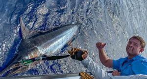 blue marlin fishing gallery 2020